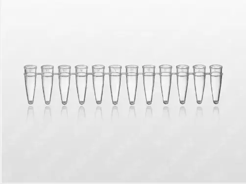 Transparentes PCR-Reaktionsgefäß