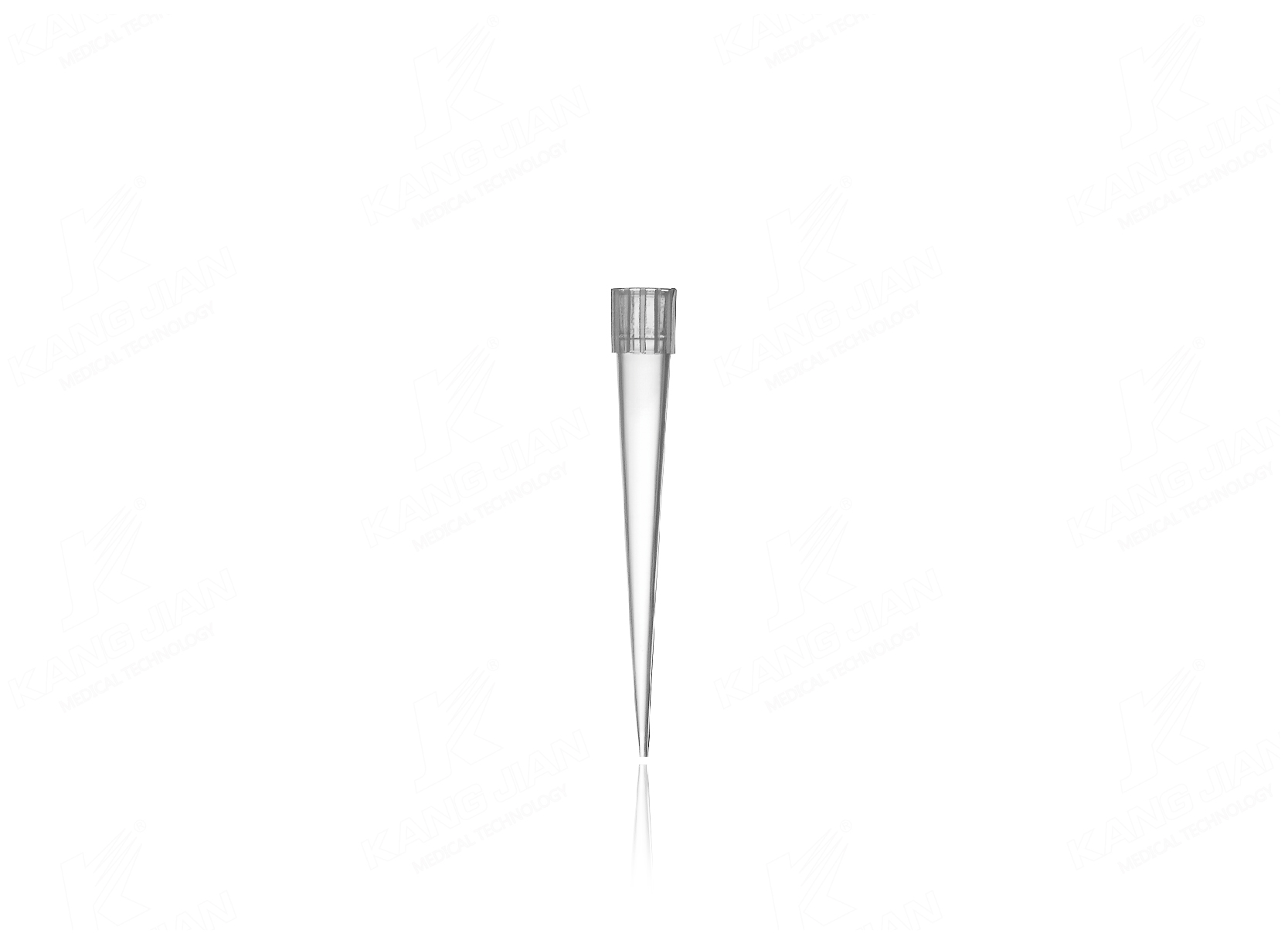 Pipettenspitze 250&mu;L