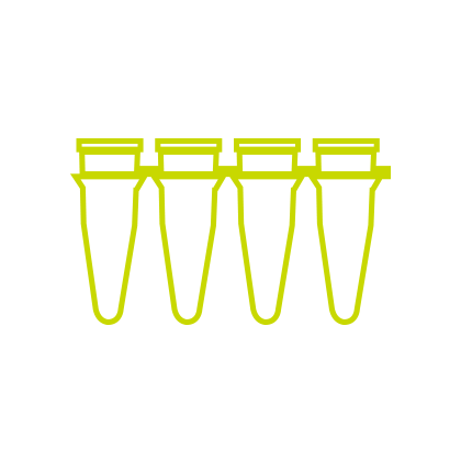 PCR-Röhrchen